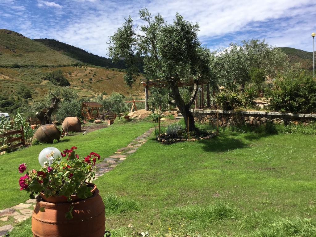 Bed and Breakfast Il Giardino Di Daniela San Teodoro  Zewnętrze zdjęcie