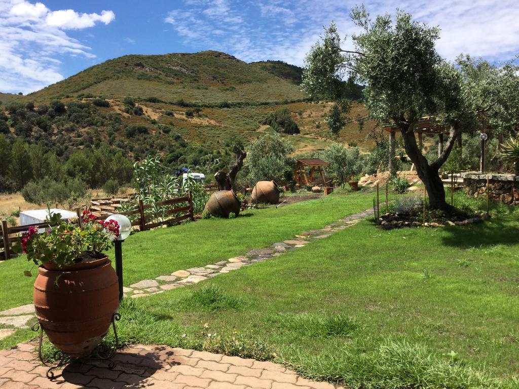 Bed and Breakfast Il Giardino Di Daniela San Teodoro  Zewnętrze zdjęcie