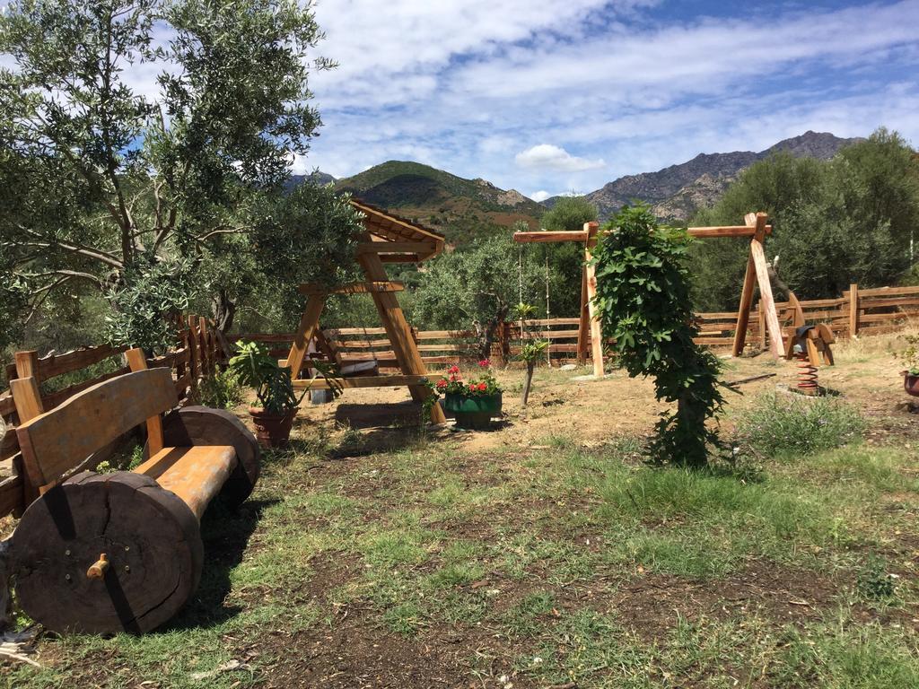 Bed and Breakfast Il Giardino Di Daniela San Teodoro  Zewnętrze zdjęcie