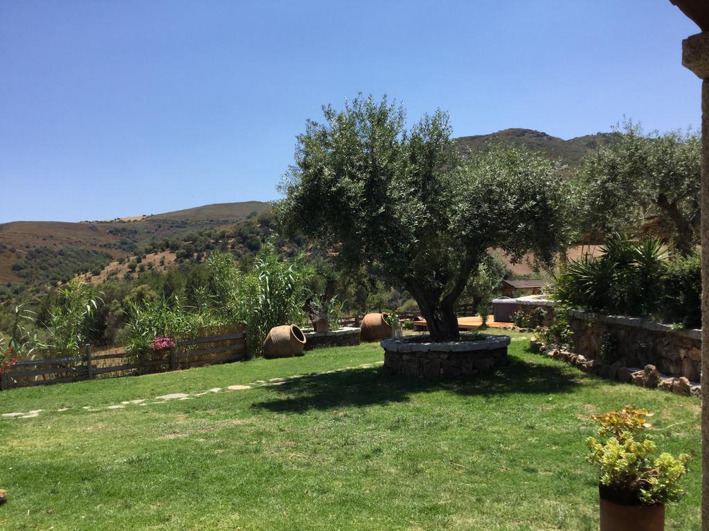Bed and Breakfast Il Giardino Di Daniela San Teodoro  Zewnętrze zdjęcie